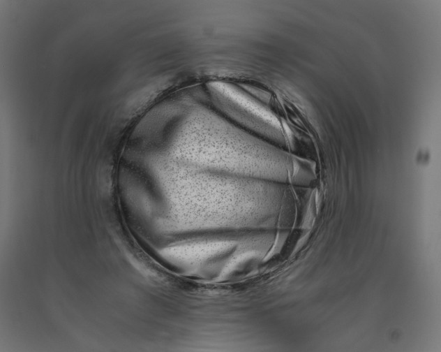 X0000090880401200708241945