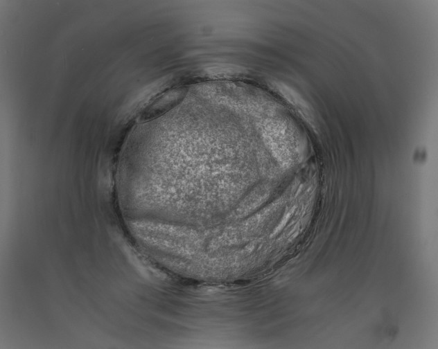 X0000090880405200708241945