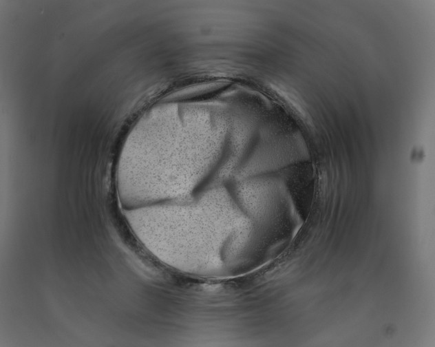 X0000090880406200708241945