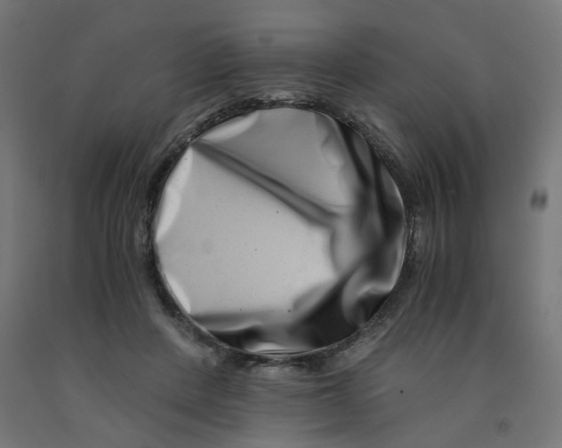 X0000090880408200708241945