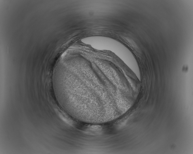 X0000090880409200708241944