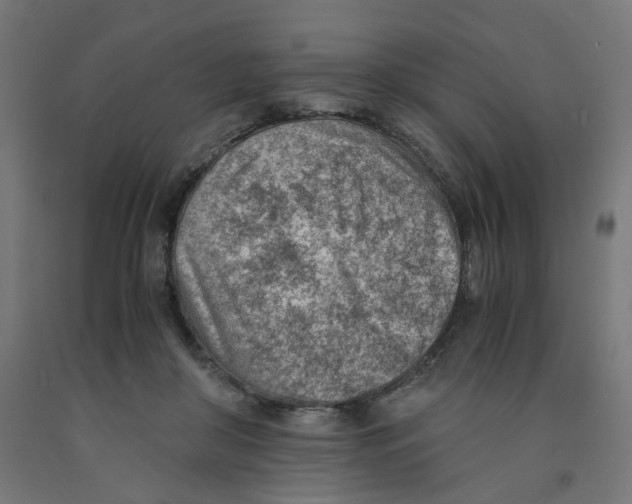 X0000090880410200708241944