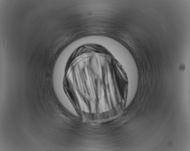 X0000090880411200708241944