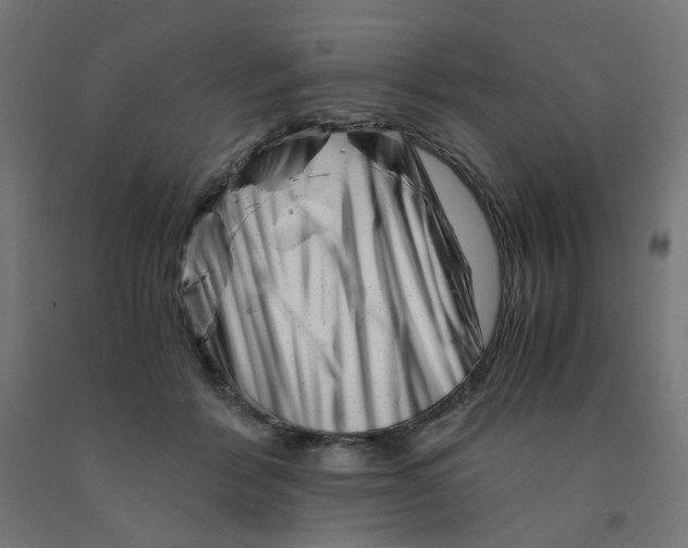 X0000090880412200708241944