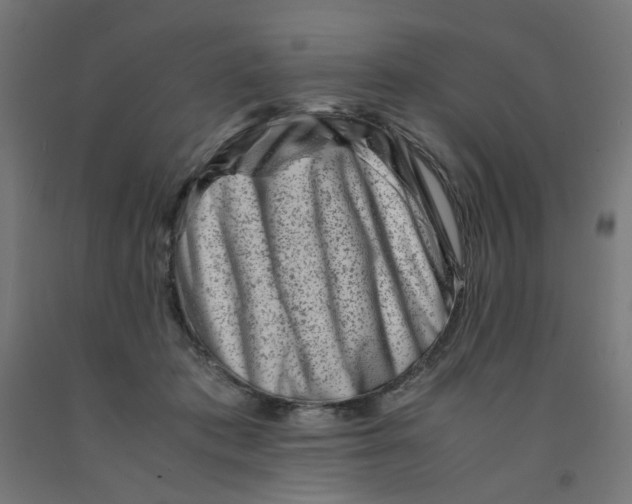 X0000090880413200708241944