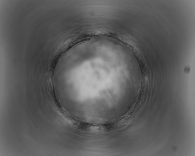 X0000090880415200708241944