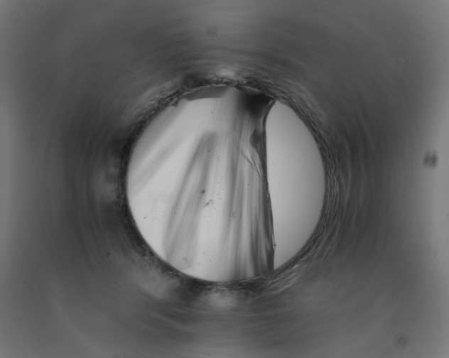 X0000090880416200708241944