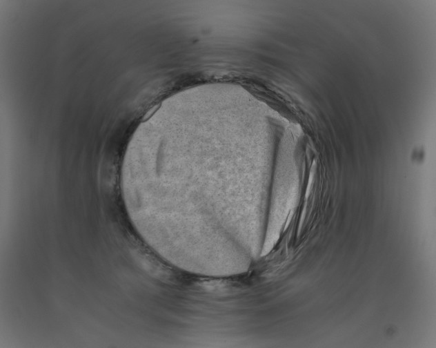 X0000090880417200708241944