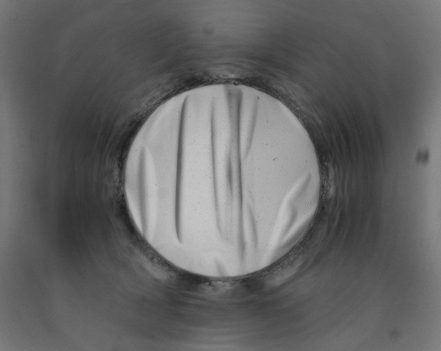 X0000090880418200708241944