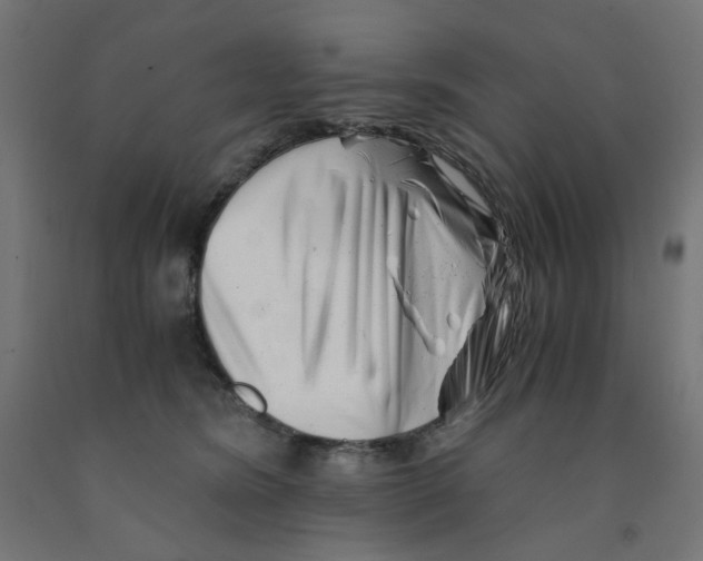 X0000090880420200708241944