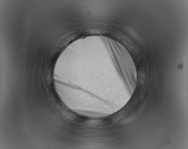 X0000090880422200708241944