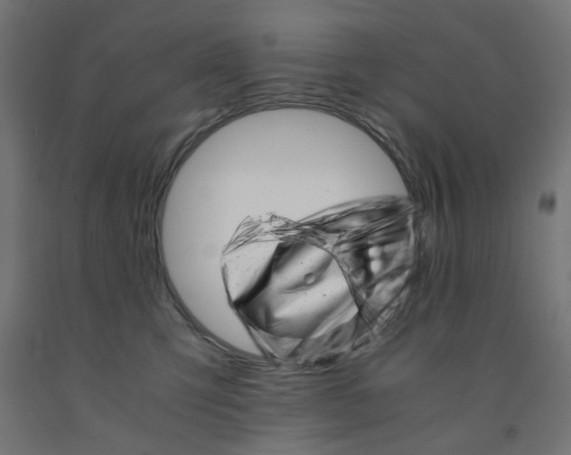 X0000090880423200708241944