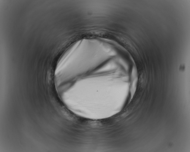 X0000090880424200708241944