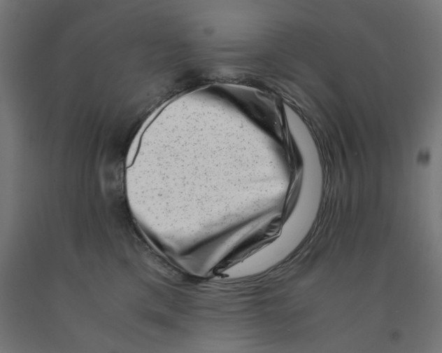 X0000090880425200708241944