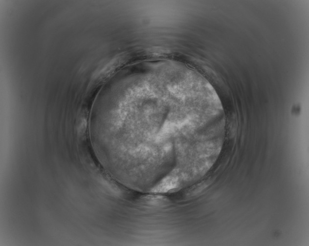 X0000090880427200708241944