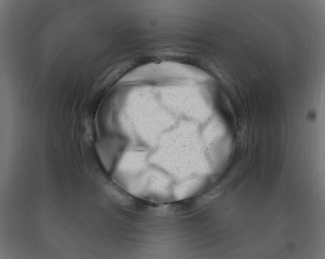 X0000090880430200708241944