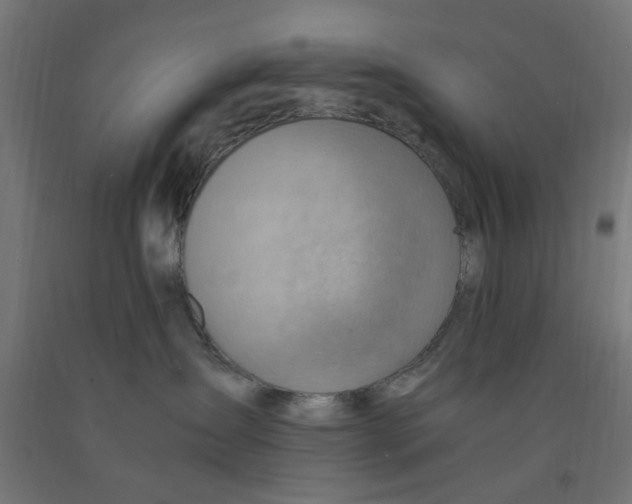 X0000090880431200708241944