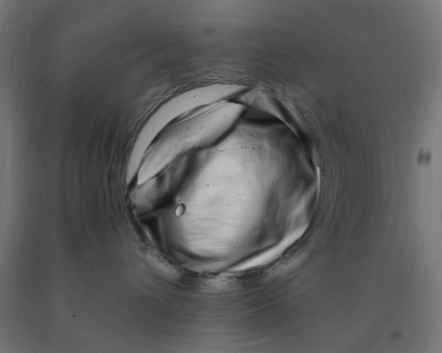 X0000090880432200708241944