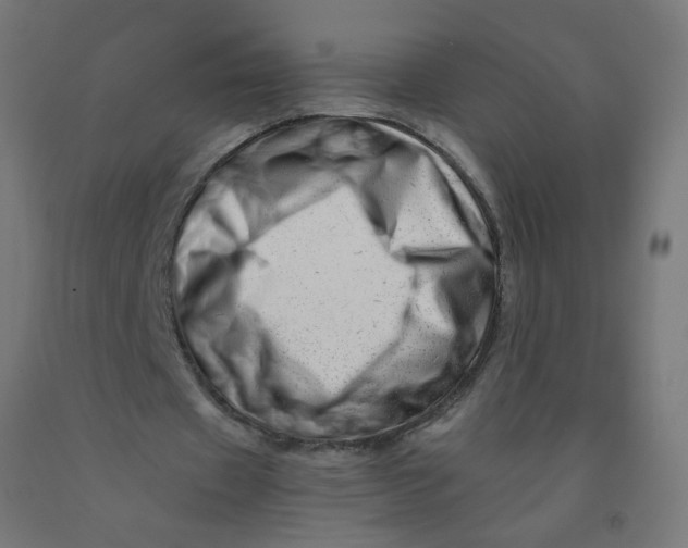 X0000090880433200708241943