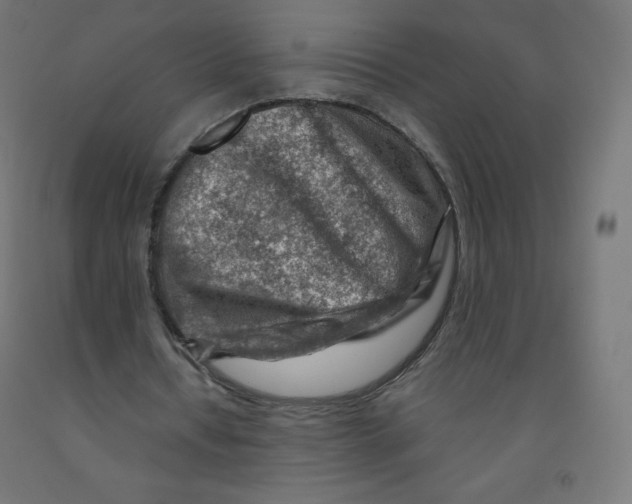 X0000090880434200708241943