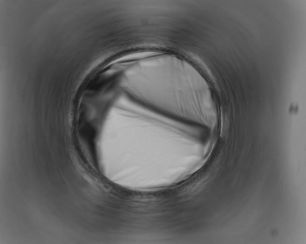 X0000090880435200708241943