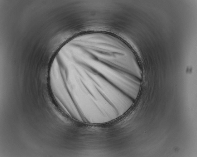 X0000090880437200708241943