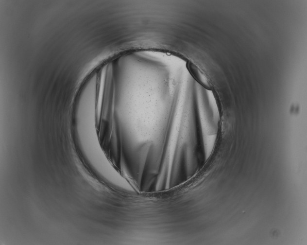 X0000090880438200708241943