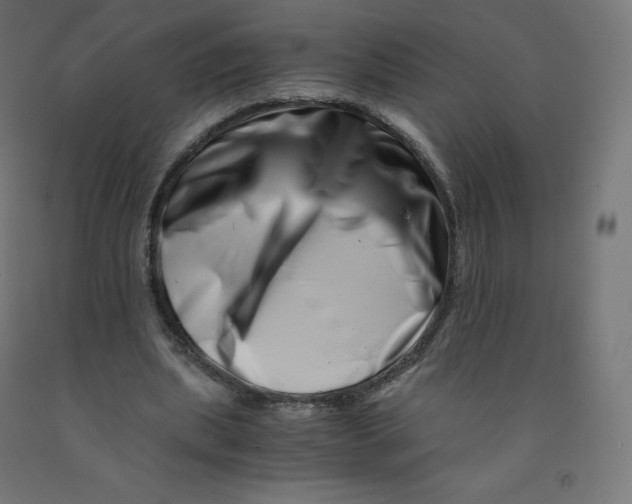 X0000090880439200708241944