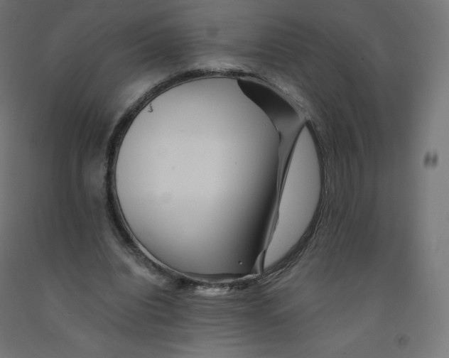 X0000090880440200708241944