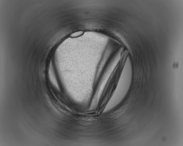 X0000090880443200708241944