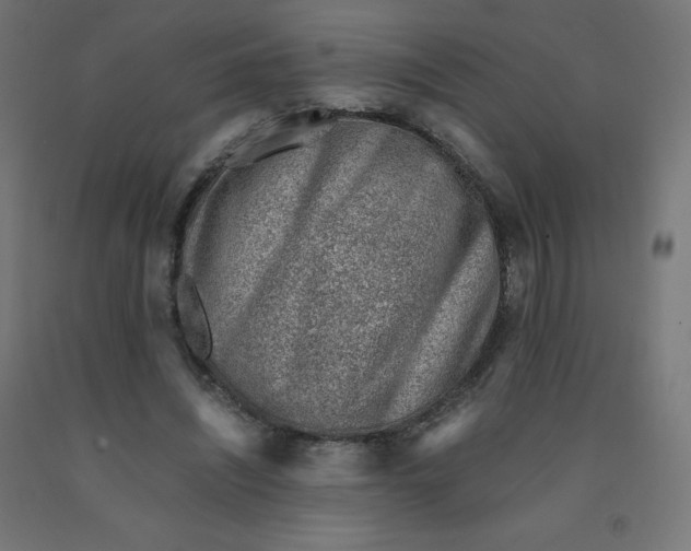 X0000090880444200708241944