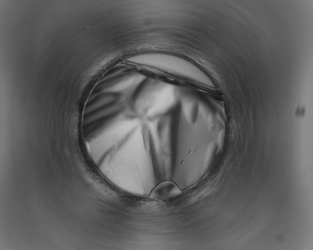 X0000090880446200708241944