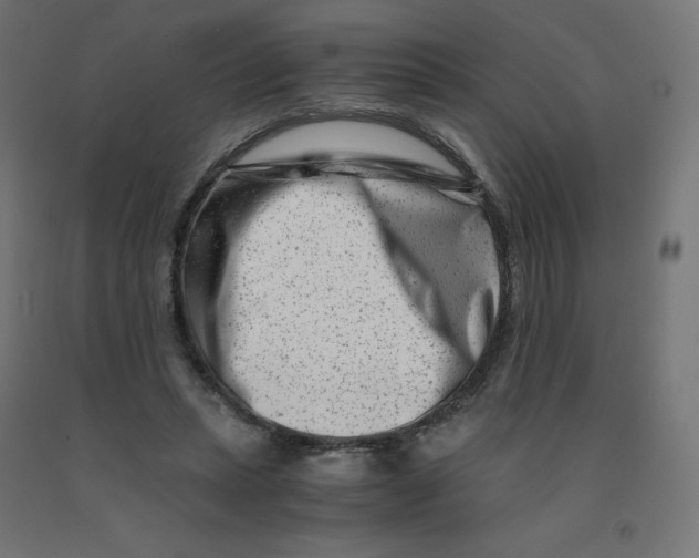 X0000090880447200708241944