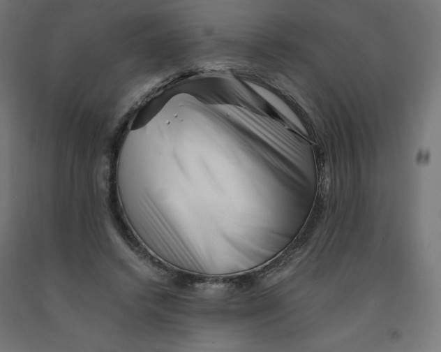 X0000090880448200708241944