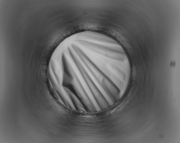 X0000090880449200708241944