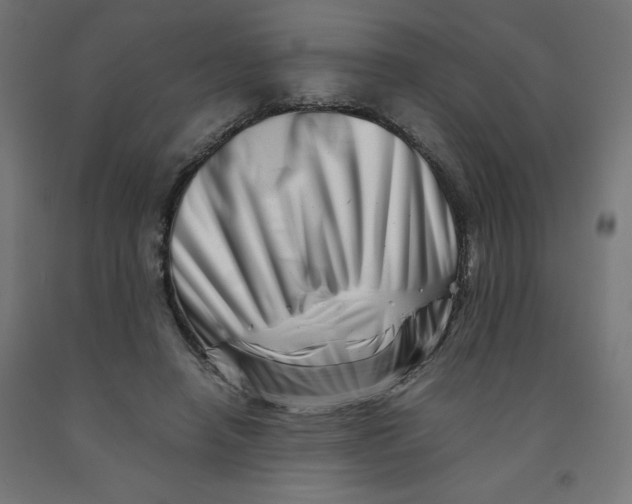 X0000090880450200708241944