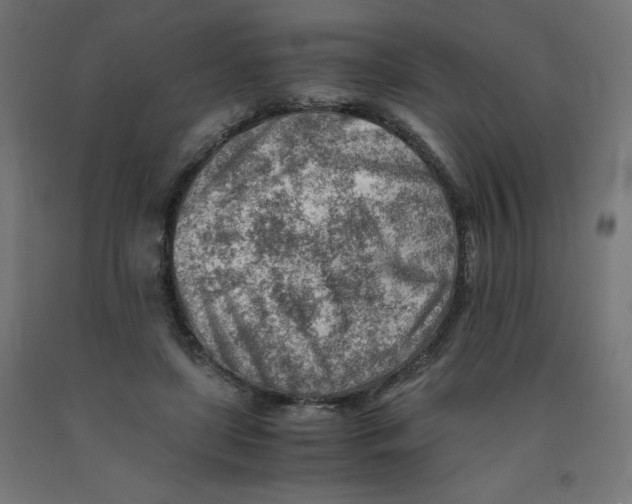 X0000090880451200708241944