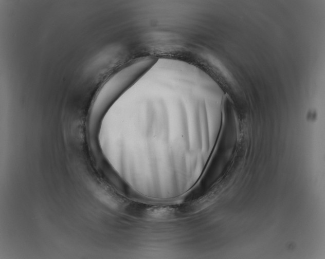 X0000090880452200708241944