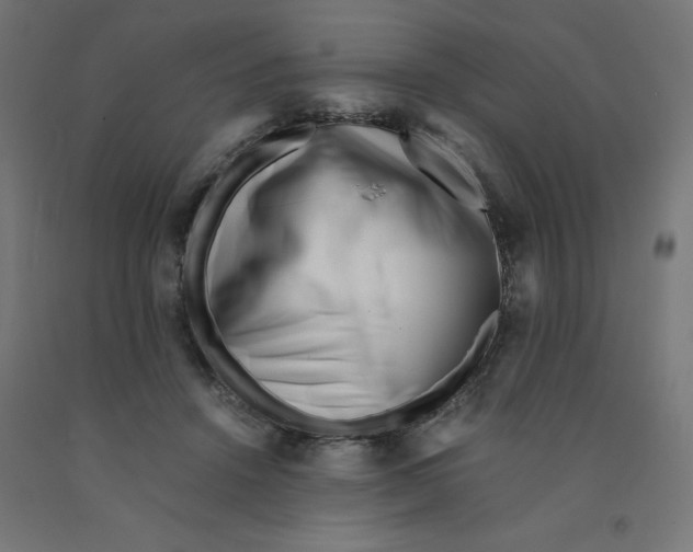 X0000090880456200708241944