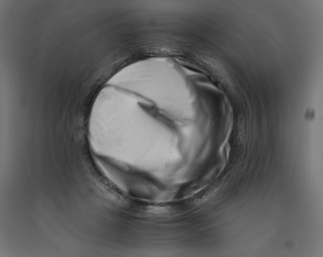 X0000090880457200708241944