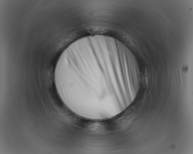 X0000090880460200708241944