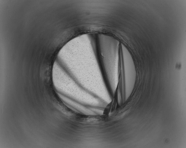 X0000090880462200708241944