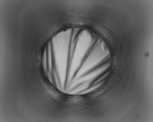 X0000090880463200708241944