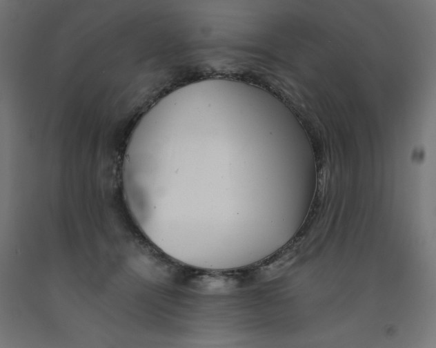 X0000090880464200708241944