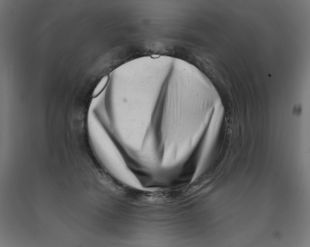 X0000090880466200708241944