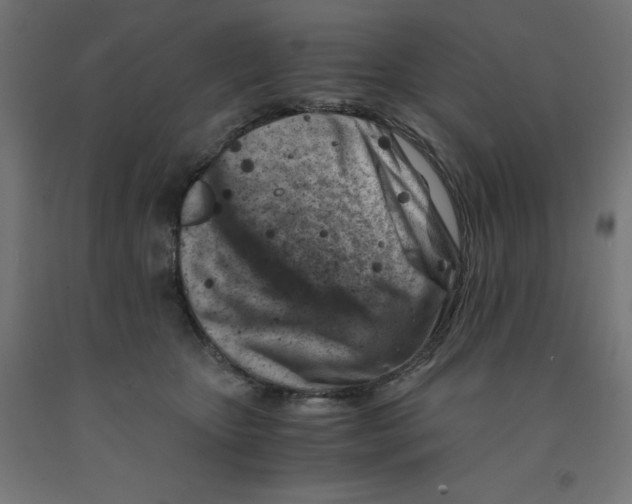 X0000090880467200708241944