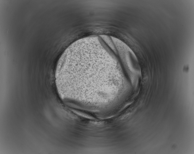 X0000090880469200708241944