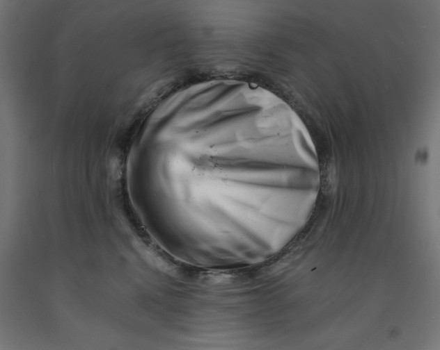 X0000090880472200708241944