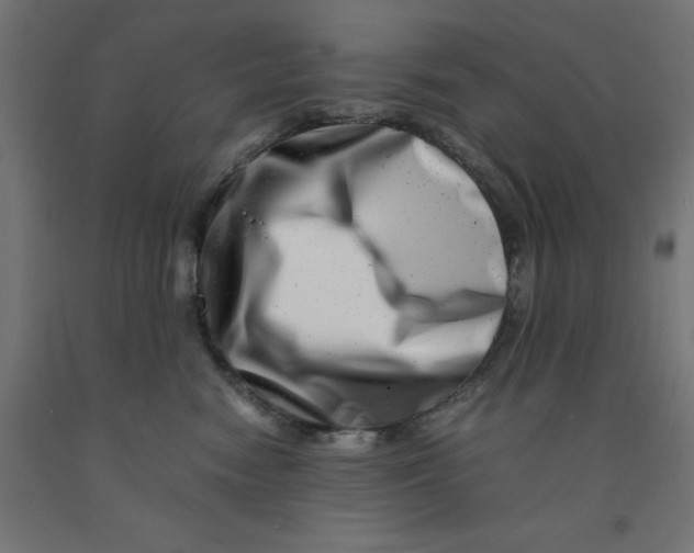 X0000090880474200708241944