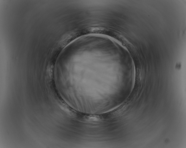 X0000090880475200708241944